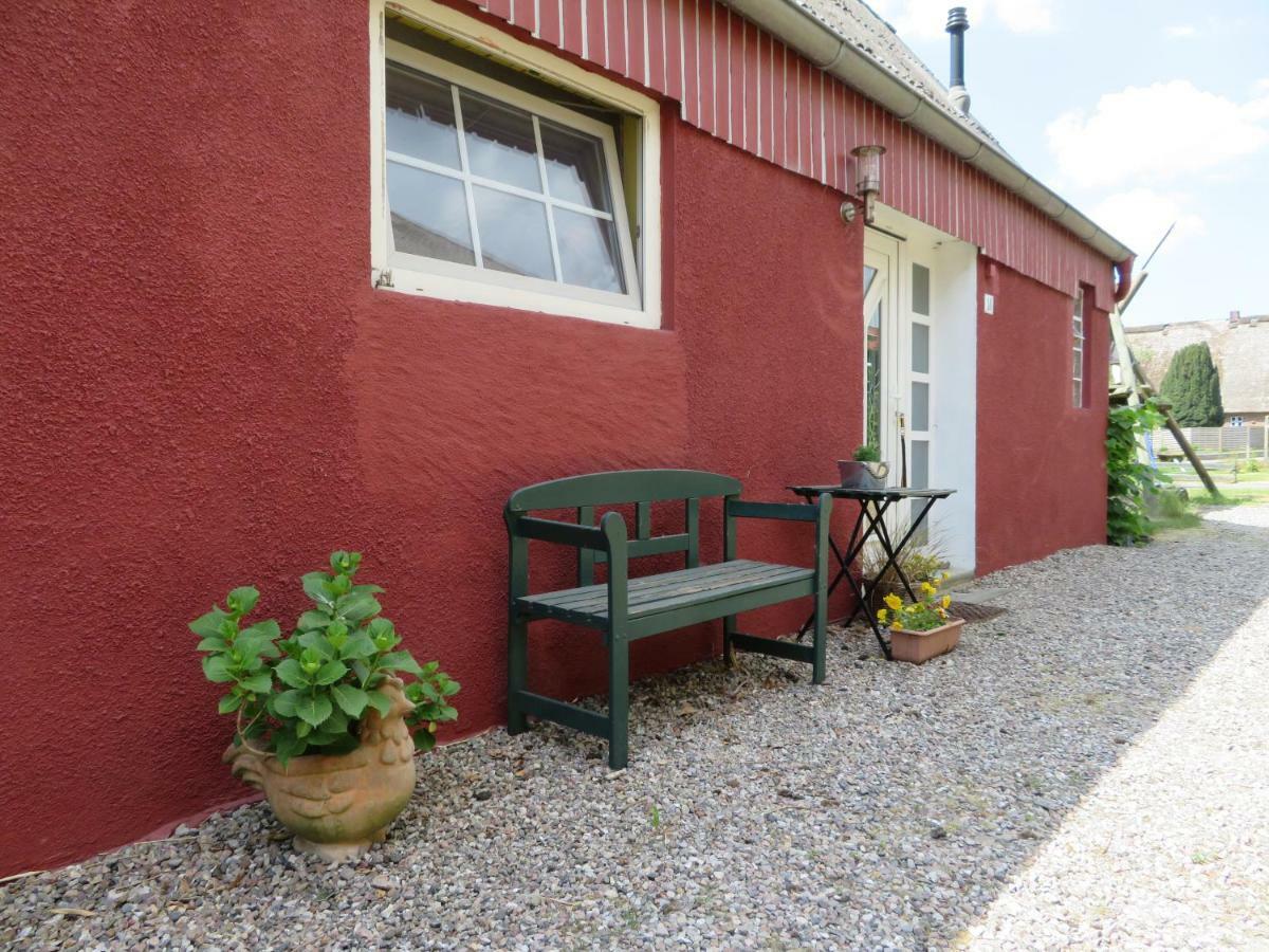 Ferienhaus Auf Vier-Linden-Hof Villa Kuden Exterior foto